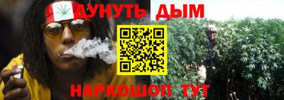 крисы Мариинск